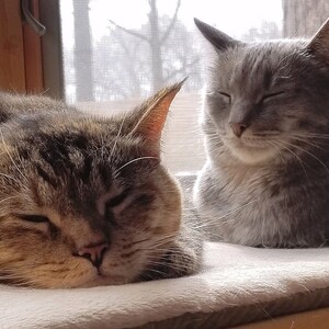 Fundraising Page: Jane Zimmerman